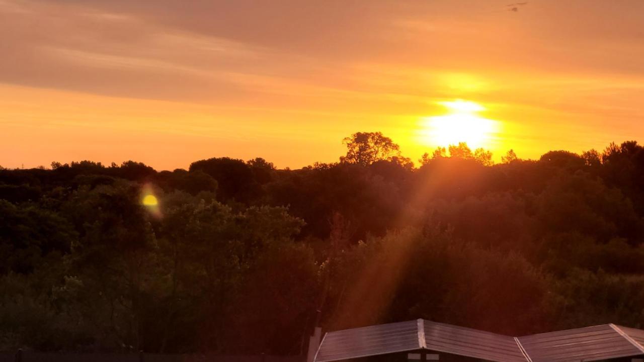 Gite Du Soleil Maison Lumineuse Avec Terrasse Solarium Parking Prive Sorède Eksteriør billede